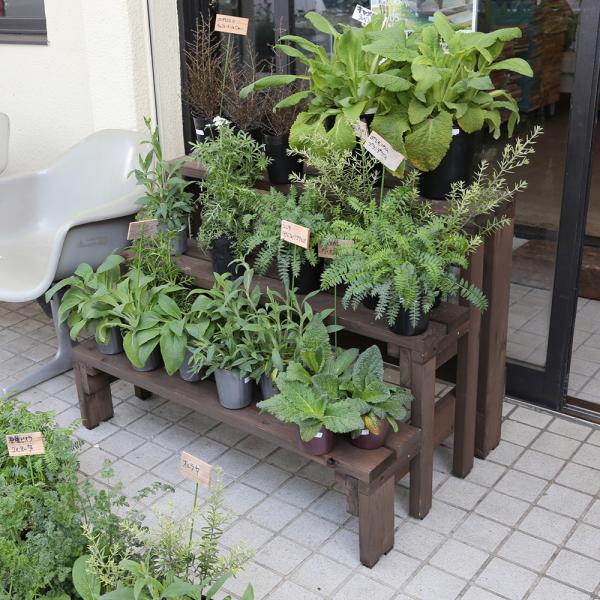 WOODPRO プランター台/花台 棚板セット３段 プランタースタンド フラワースタンド フラワーラ...