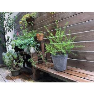 WOODPRO プランター台/花台 棚板セット...の詳細画像4