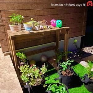 WOODPRO プランター台/花台棚板セット1...の詳細画像5