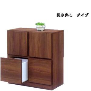 リビング収納 キュリオケース 多目的 ラック 完成品｜woodsystem3