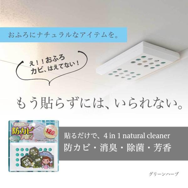 風呂 防カビ カビ カビ防止 カビ 除菌 消臭 消臭力 おふろの防カビアロマ PREMIUM リラッ...