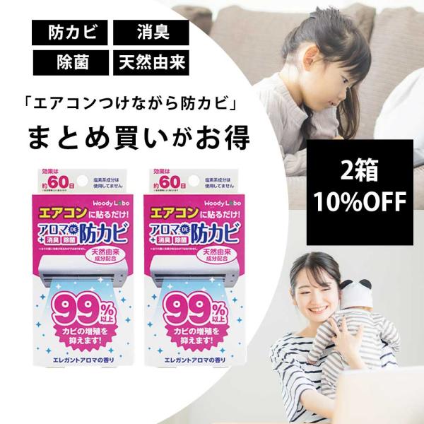 エアコン 消臭 カビ防止 防カビ剤 消臭剤 臭い対策 消臭力 部屋 芳香剤  エアコン用アロマDE防...