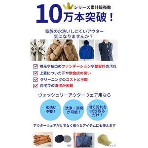 洗濯洗剤 部分洗い ダウン 汚れ 水洗い不要 ...の詳細画像1