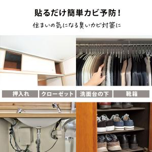 カビ 収納 防カビ 消臭 洋服 クローゼット ...の詳細画像5