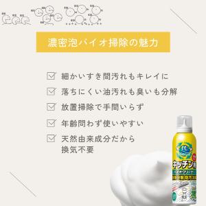 キッチン 掃除 排水口掃除 泡タイプ パイプ ...の詳細画像3