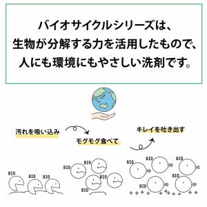 台所 洗剤 排水溝 泡 洗剤 排水管掃除 パイ...の詳細画像2