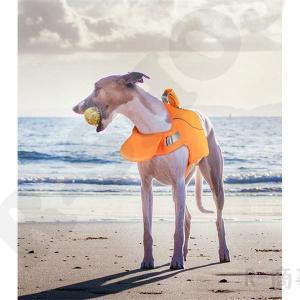 ライフジャケット犬用 中型犬 大型犬用 水遊び...の詳細画像5