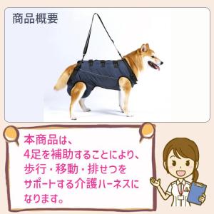 【人気商品】犬用介護ハーネス 老犬介護 歩行補...の詳細画像3