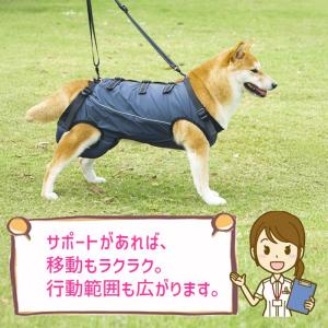 【人気商品】犬用介護ハーネス 老犬介護 歩行補...の詳細画像5