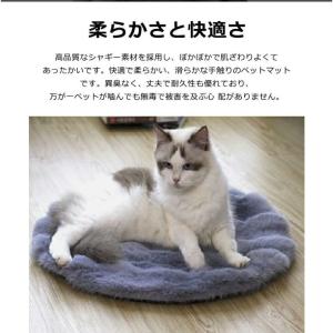 ペット マット ペットベッド 猫 ふわふわ も...の詳細画像1