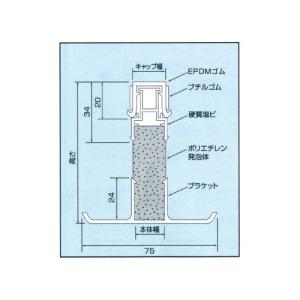 エキスパンタイ TE20-100の詳細画像1