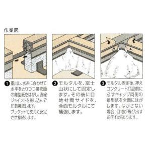 エキスパンタイ TE20-100の詳細画像2