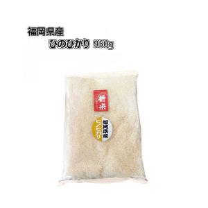 元気つくし [ 950g ] 令和7年産 福岡県産 ポイント消化 農家直送 送料