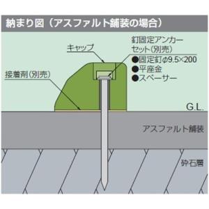 カネソウ　タイヤ止め用　釘固定アンカーセット　アスファルト舗装用