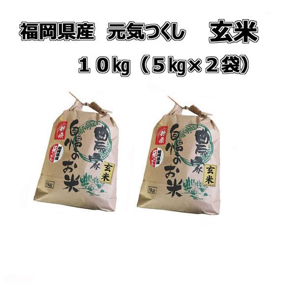 [ 元気つくし ] [ 玄米 ] [ 10kg (5kg×2袋) ]  令和5年産  福岡県産  農...