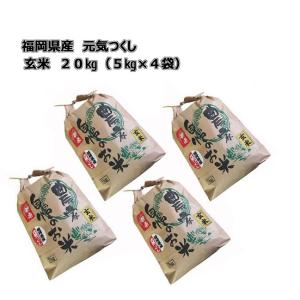 元気つくし [ 20kg (5kg×4袋) ] 令和7年産 福岡県産 農家直送 送料無料