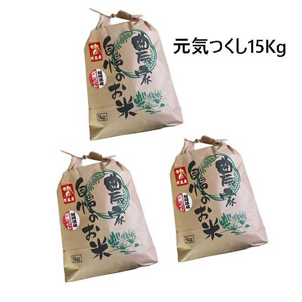 [ 元気つくし ] [ 15kg (5kg×3袋) ]　 令和5年産　福岡県産　農家直送　送料無料