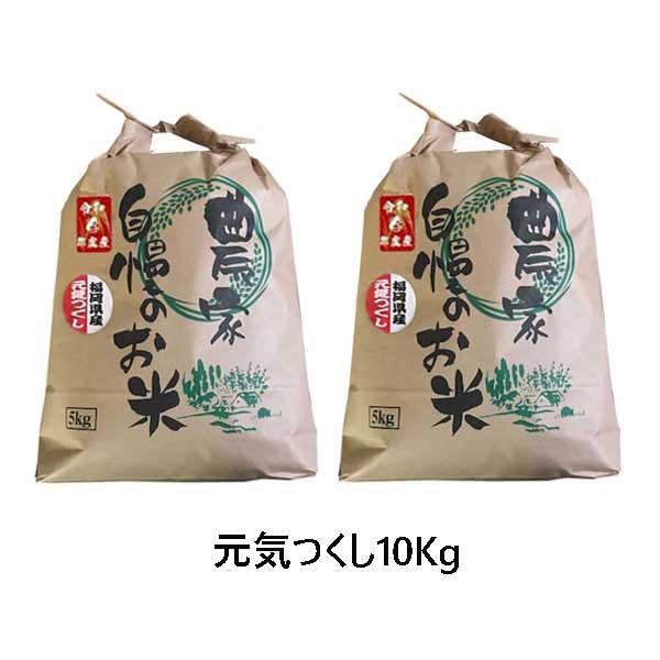 [ 元気つくし ]  [ 10kg (5kg×2) ]　令和5年産  福岡県産　農家直送　送料無料