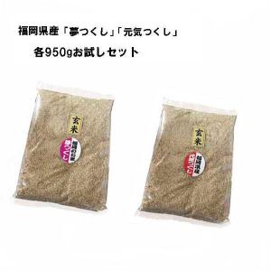 夢つくし [ 玄米 ] [ 20kg (5kg×4袋) ] 令和7年産 福岡県産 農家直送