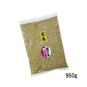 夢つくし [ 玄米 ] [ 20kg (5kg×4袋) ] 令和7年産 福岡県産 農家直送