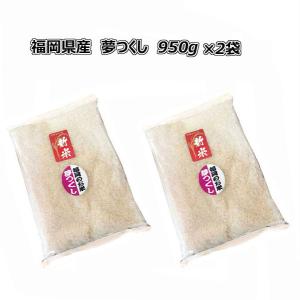 元気つくし [ 950g ] 令和7年産 福岡県産 ポイント消化 農家直送 送料