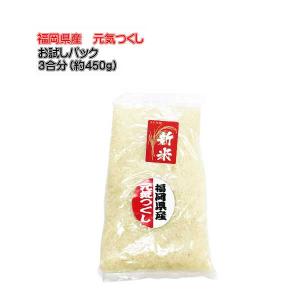 元気つくし [ 950g ] 令和7年産 福岡県産 ポイント消化 農家直送 送料