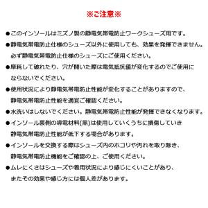 【2点までネコポス可】 ミズノ インソール 静...の詳細画像3