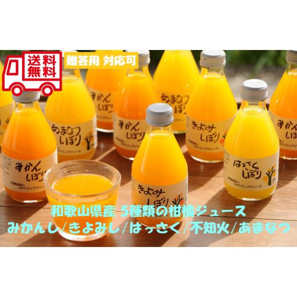 和歌山 伊藤農園 5種の柑橘ジュース お取り寄せ お取り寄せグルメ 人気 内祝 お祝い 御祝 贈答用...
