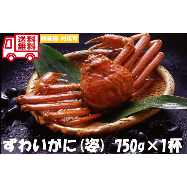 ボイルずわいがに姿　 お取り寄せ お取り寄せグルメ 人気 内祝 お祝い 御祝 贈答用 お歳暮 御歳暮...