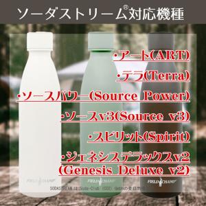FIELD CHAMP ステンレスボトル 炭酸...の詳細画像3