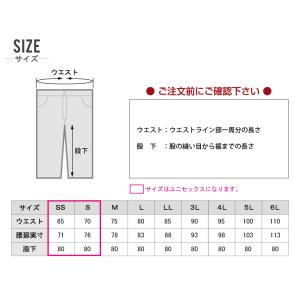 Dickies ディッキーズ D-2875 カ...の詳細画像4