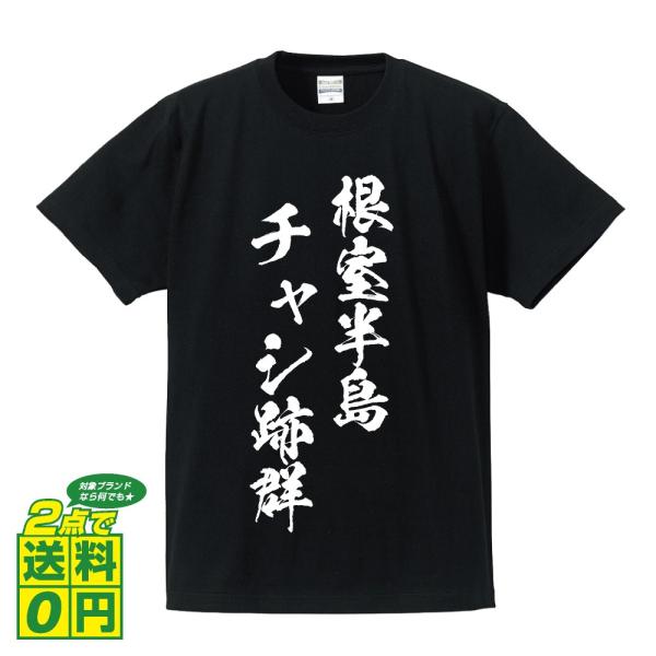 根室半島チャシ跡群 筆文字 Tシャツ 半袖 書道家が書く 名入れ 漢字 オリジナル プリント ( 1...