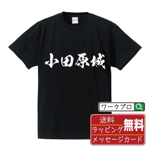 小田原城 筆文字 Tシャツ 半袖 書道家が書く 名入れ 漢字 オリジナル プリント ( 100名城 ...
