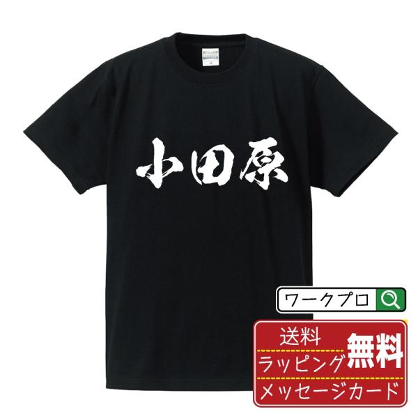 小田原 筆文字 Tシャツ 半袖 書道家が書く 名入れ 漢字 オリジナル プリント ( 神奈川 ) メ...