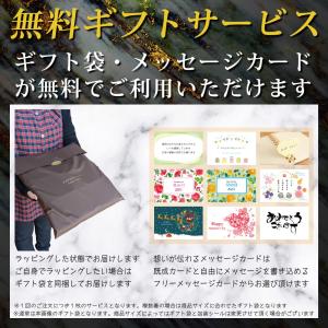 数牌 (シュウパイ) 長袖Tシャツ ロンT デ...の詳細画像3