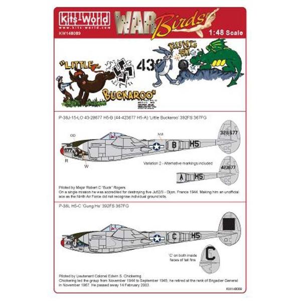Kits-World(148089)1/48 P-38J-15 Lightning 'Little ...