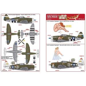 Kits-World(148141)1/48 P-47D Thunderbolt Razorback...