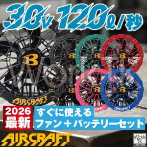 (2026年30V在庫有・即納) バッテリーセ...の詳細画像1