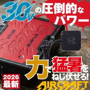 (2026年30V在庫有・即納) バッテリーセ...の詳細画像2
