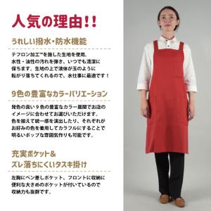 エプロン T-7500 arbe アルベ CH...の詳細画像2