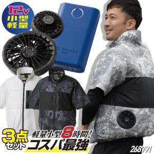 SK11 使い捨て式防じんマスク DS2合格品 No.9600-DS2 ( 3枚入