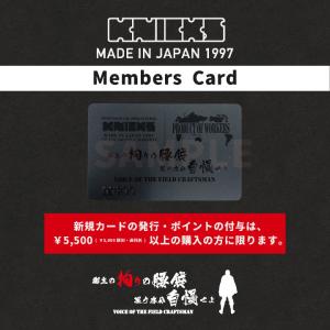KNICKS ニックス チェーンタイプ3段腰袋...の詳細画像4