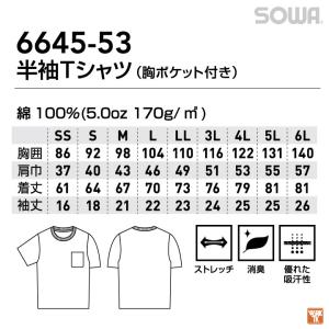 桑和 半袖 Tシャツ 綿100 天竺 ポケット...の詳細画像4