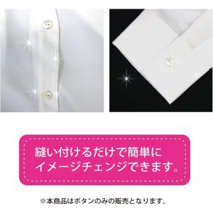 シェルボタン 貝ボタン 貝製 片面 高瀬貝 シ...の詳細画像5