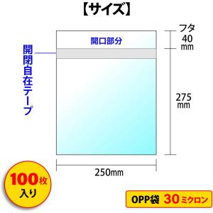 色紙用OPP袋 100枚入 【標準色紙用】 2...の詳細画像2