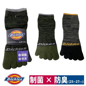 靴下 5本指 ロークルー 2足組 制菌 防臭 Dickies カラーミックス