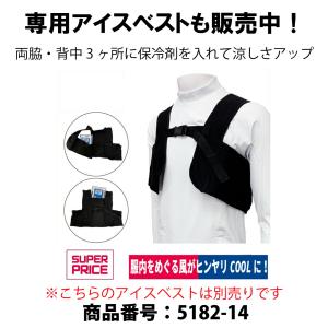 保冷剤 空調風神服 保冷パック アイスベスト用...の詳細画像4