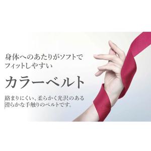 基陽 新規格 KH ノングラ フルハーネス 墜...の詳細画像5