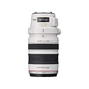 Canon 望遠ズームレンズ EF28-300mm F3.5-5.6L IS USM フルサイズ対応