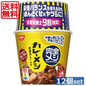 送料無料 日清食品 完全メシ カレーメシ 欧風カレー119g×12個 【2ケース】